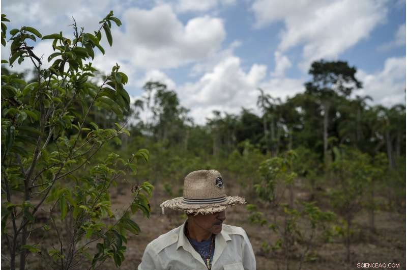 Amazon at a Crossroads: Brazil s Battle Between Conservation and Development