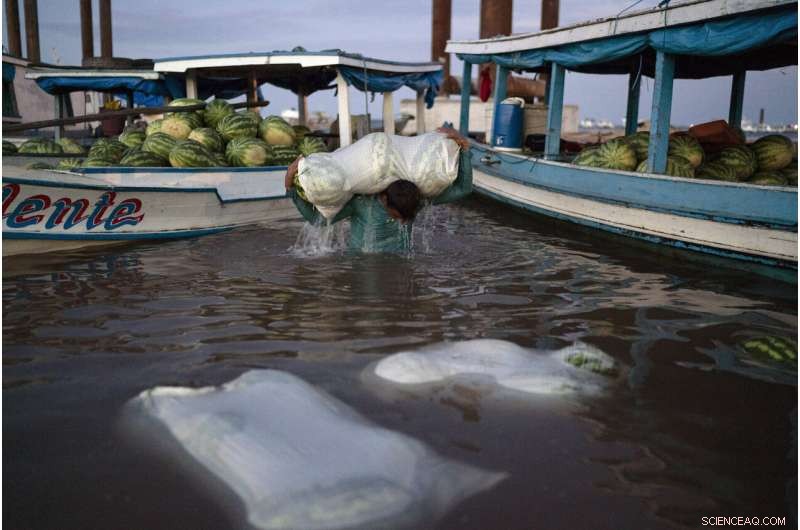 Amazon at a Crossroads: Brazil s Battle Between Conservation and Development