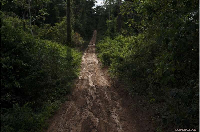 Amazon at a Crossroads: Brazil s Battle Between Conservation and Development