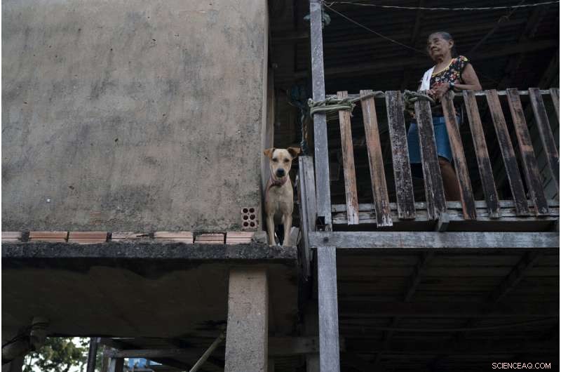 Amazon at a Crossroads: Brazil s Battle Between Conservation and Development