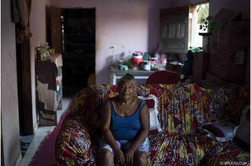 Amazon at a Crossroads: Brazil s Battle Between Conservation and Development