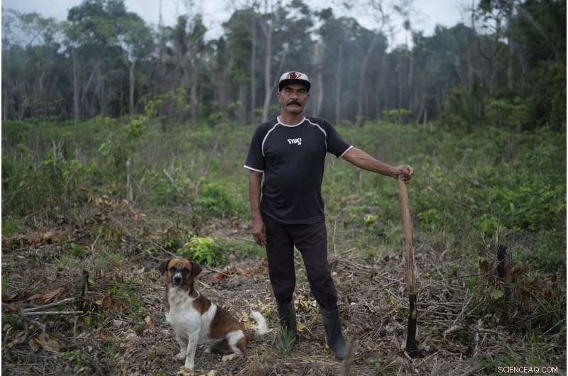 Amazon at a Crossroads: Brazil s Battle Between Conservation and Development