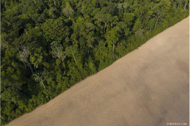 Amazon at a Crossroads: Brazil s Battle Between Conservation and Development