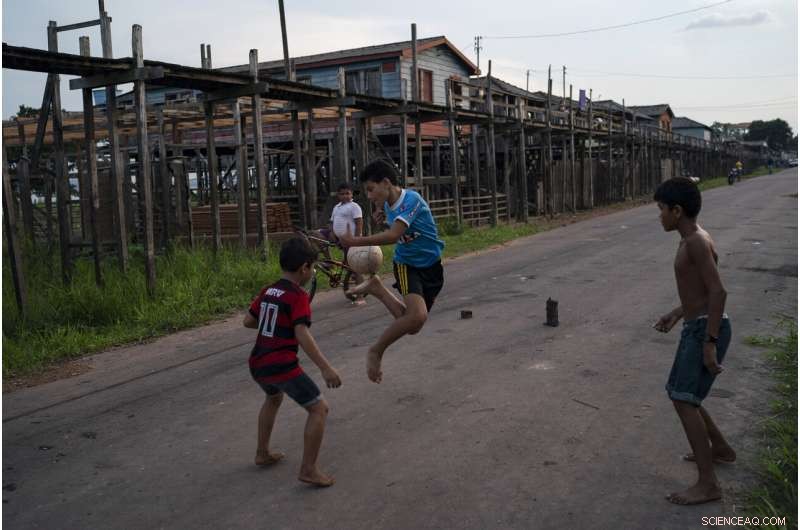 Amazon at a Crossroads: Brazil s Battle Between Conservation and Development