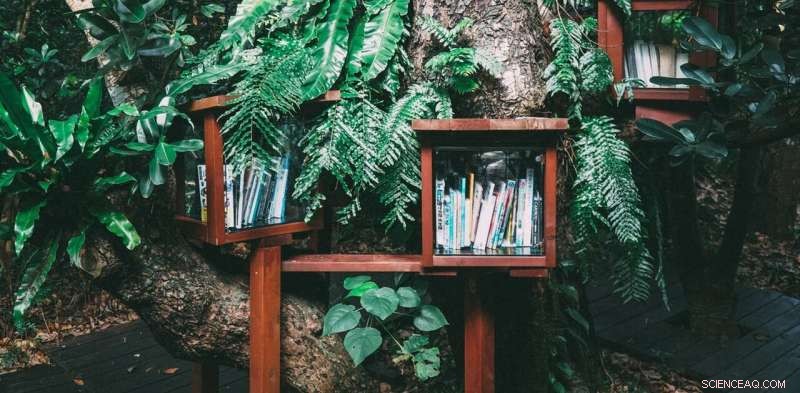 Seven Must‑Read Climate‑Change Novels to Envision Our Future