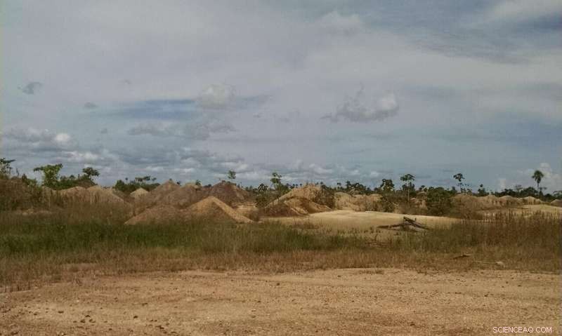 Deforestation and Erosion Drive Mercury Spikes Near Peru s Gold Mining Zones