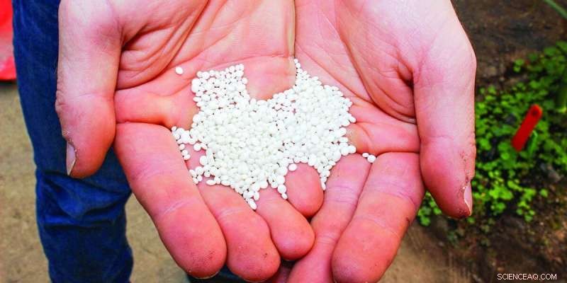 Illinois Study Charts Path to a Circular Phosphorus Economy in the Midwest