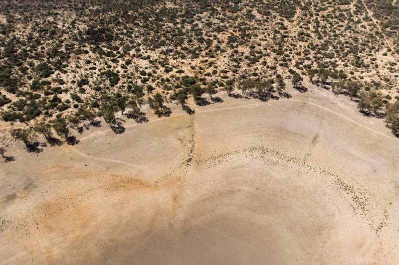 Five Years of Water Scarcity: Eastern Cape’s Battle Against a Severe Drought