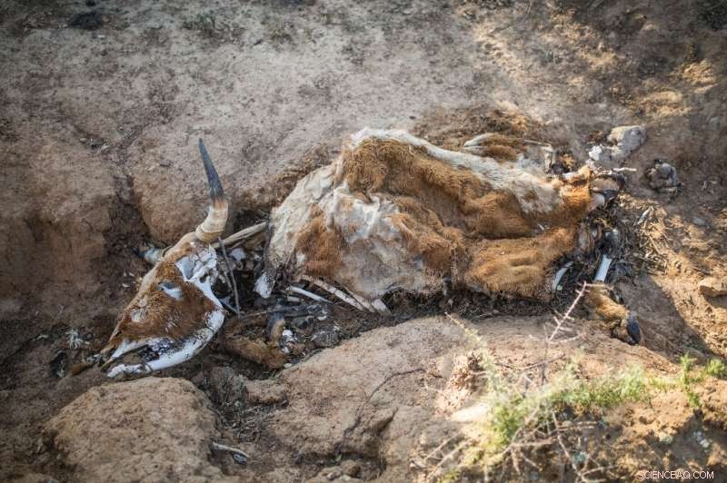 Five Years of Water Scarcity: Eastern Cape’s Battle Against a Severe Drought