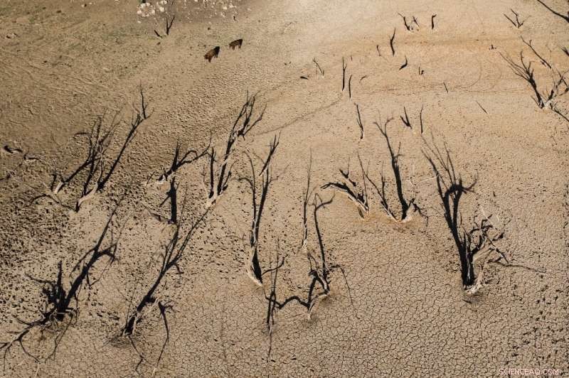 Five Years of Water Scarcity: Eastern Cape’s Battle Against a Severe Drought