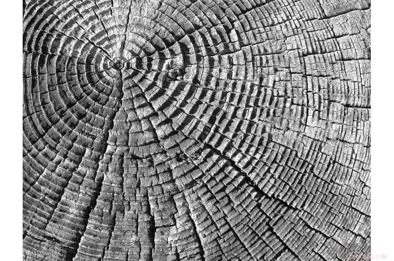 Could Floods Trigger Europe s 1315–1317 Great Famine? New Climate Research Offers Insight