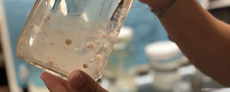 Microplastics in Oceans Are 1 Million Times More Common Than Previously Estimated