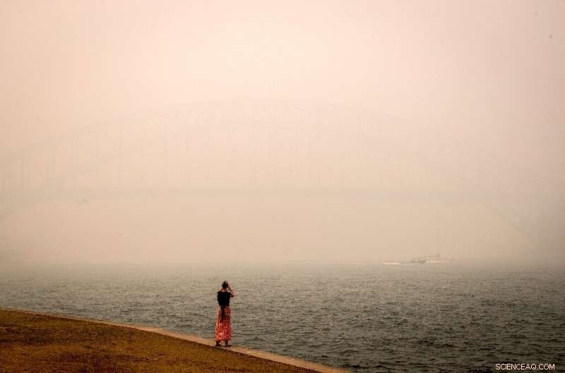 Sydney Bushfire Smoke Declared Public Health Emergency