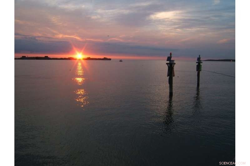 Warming Climate Amplifies Dead Zones in Chesapeake Bay