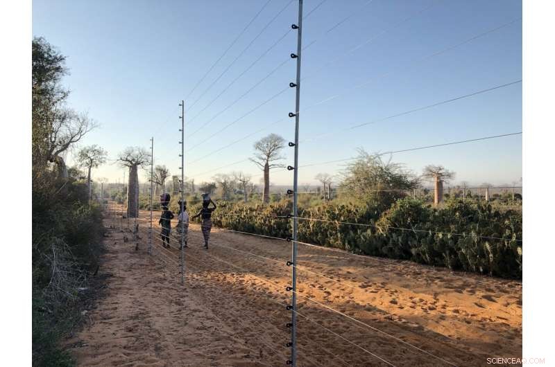 Safeguarding Nature: Strategies to Reduce Habitat Loss