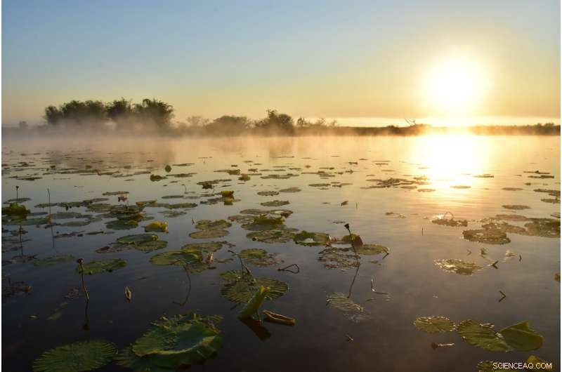 Safeguarding Nature: Strategies to Reduce Habitat Loss