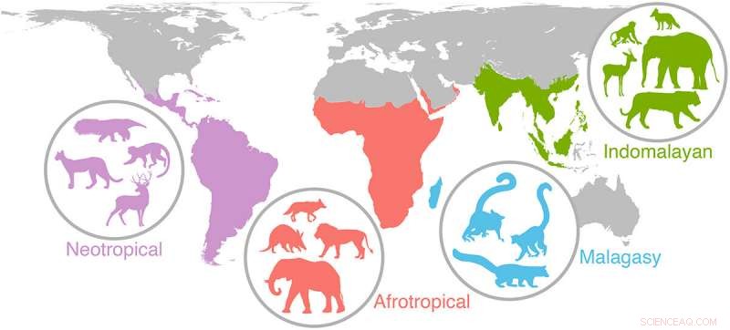 Bridging Prehistoric Earth to the Future of Global Biodiversity