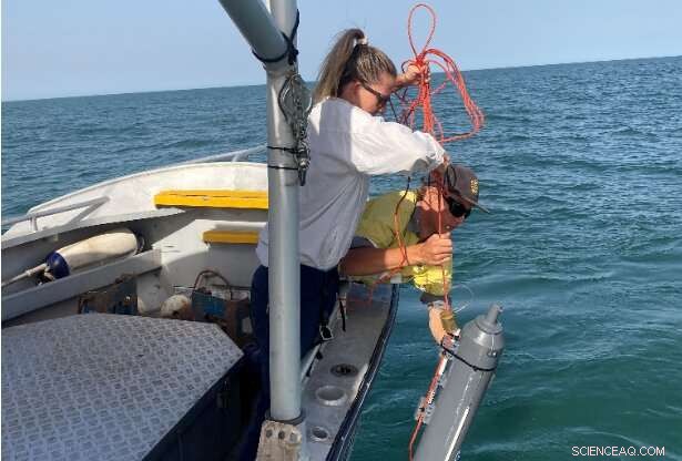 Climate Impacts on Exmouth Gulf’s Coastal Waters: Insights from UWA Research