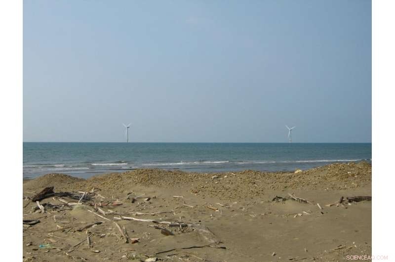 Safeguarding Marine Life in Offshore Renewable Energy Projects