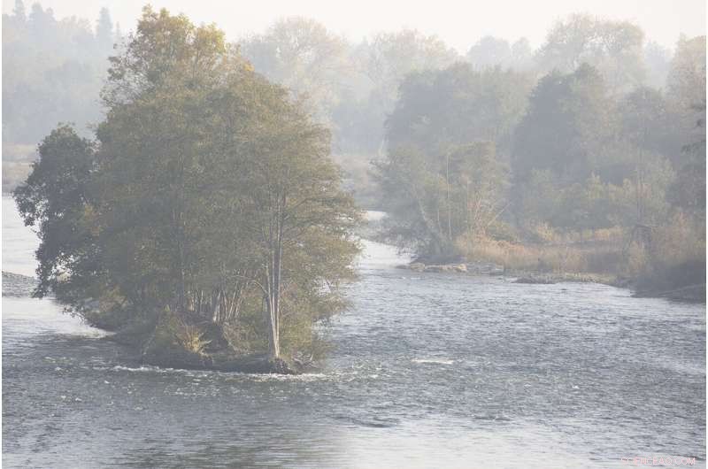 How Wildfires Threaten Water Quality and What It Means for Communities