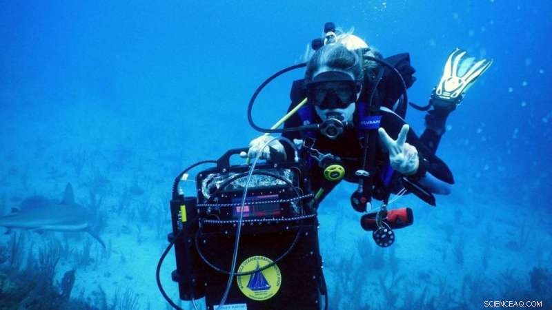 New DISCO Tool Enables Precise Measurement of Superoxide in Coral Reef Environments