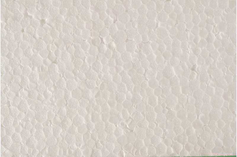 Cuomo Proposes Statewide Ban on Plastic Foam Containers in New York