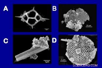 Underwater Volcanoes Offer Clues to the Medieval Year of Darkness