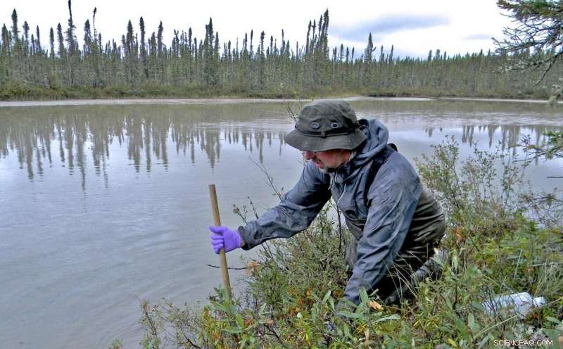 Sample Type: The Key Factor in Reliable eDNA Biodiversity Monitoring