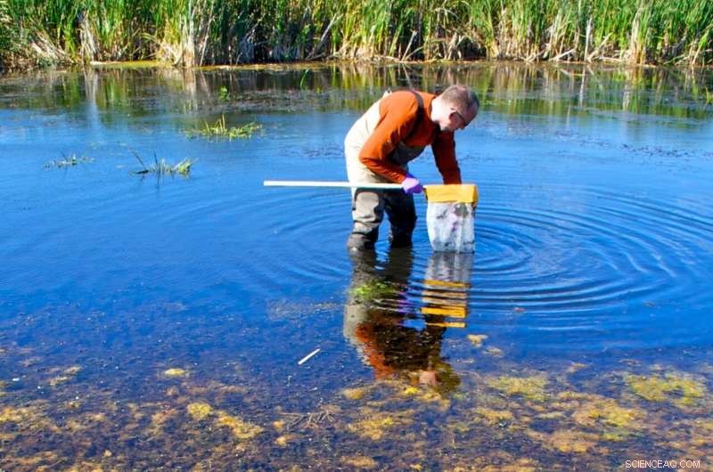 Sample Type: The Key Factor in Reliable eDNA Biodiversity Monitoring