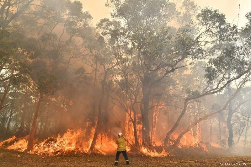 Australia Records Record-High Temperature in Latest Heatwave