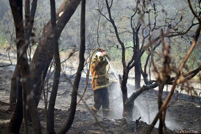 Australia Records Record-High Temperature in Latest Heatwave