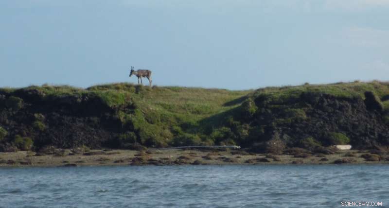 Permafrost Thaw Alters North Alaska s River Flows to the Ocean