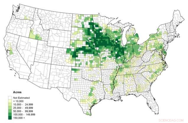 Double Threat of Climate Change Hits U.S. Corn Belt