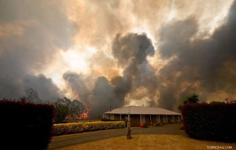 Australia Declares State of Emergency Amid Unprecedented Bushfire Crisis