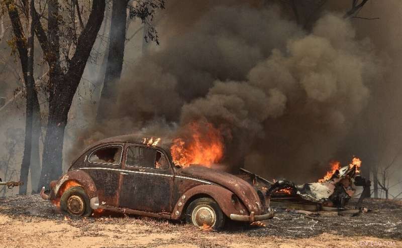 Australia Declares State of Emergency Amid Unprecedented Bushfire Crisis