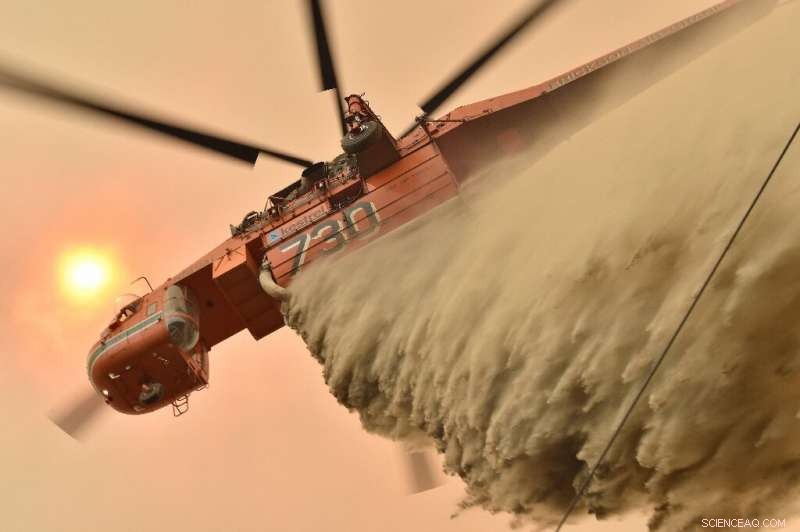 Australia Declares State of Emergency Amid Unprecedented Bushfire Crisis