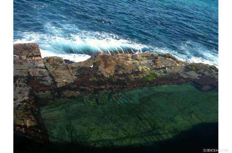 The Timeless Allure of Ocean Pools: A Smart Investment Choice