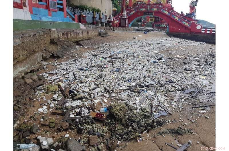 Assessing the Ecological Impact of a Palm Stearin Spill on Coastal Ecosystems