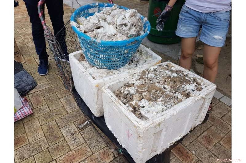 Assessing the Ecological Impact of a Palm Stearin Spill on Coastal Ecosystems