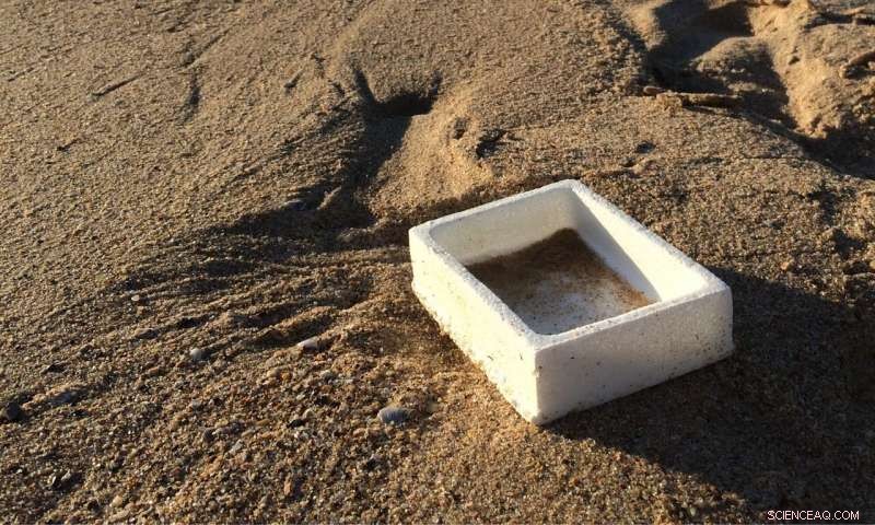 Assessing the Scale of Polystyrene Pollution in Our Oceans