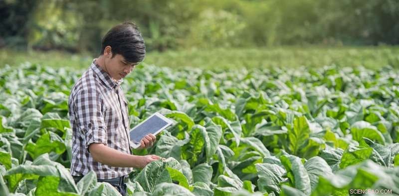 Three Sustainable Farming Innovations That Feed the Planet and Heal the Earth