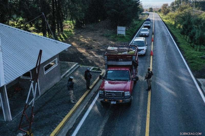 Indigenous Communities in Mexico Fight Illegal Logging and Reclaim Their Forests