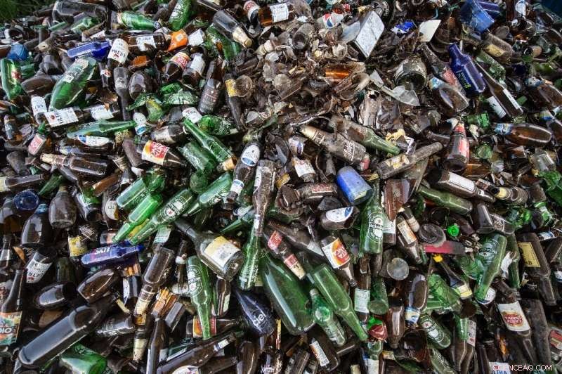 Indigenous Communities in Mexico Fight Illegal Logging and Reclaim Their Forests