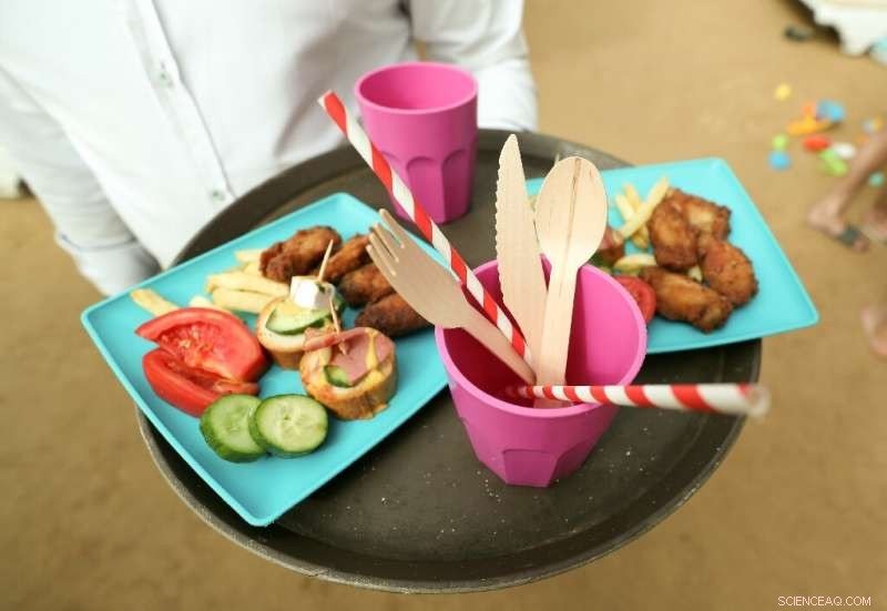 Egyptian Beach Resorts Lead the Fight Against Global Plastic Waste