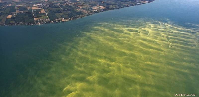 Great Lakes Waters Threatened by Hidden Contaminants and Emerging Risks