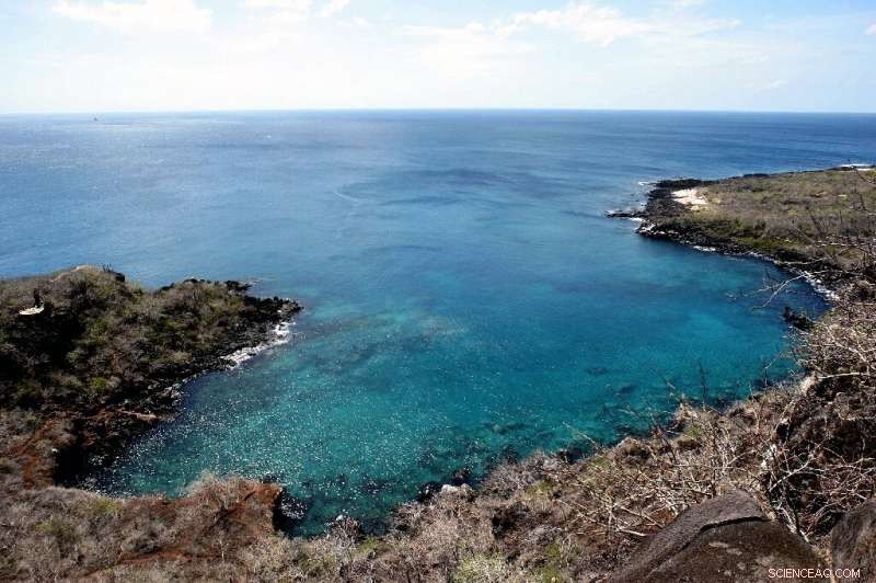 Ecuador Confirms Galapagos Fuel Spill Under Control After Barge Incident