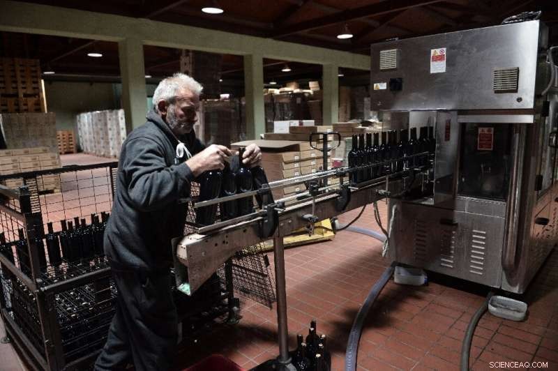 Greek Vineyards Turn to Traditional Methods to Combat Climate Change