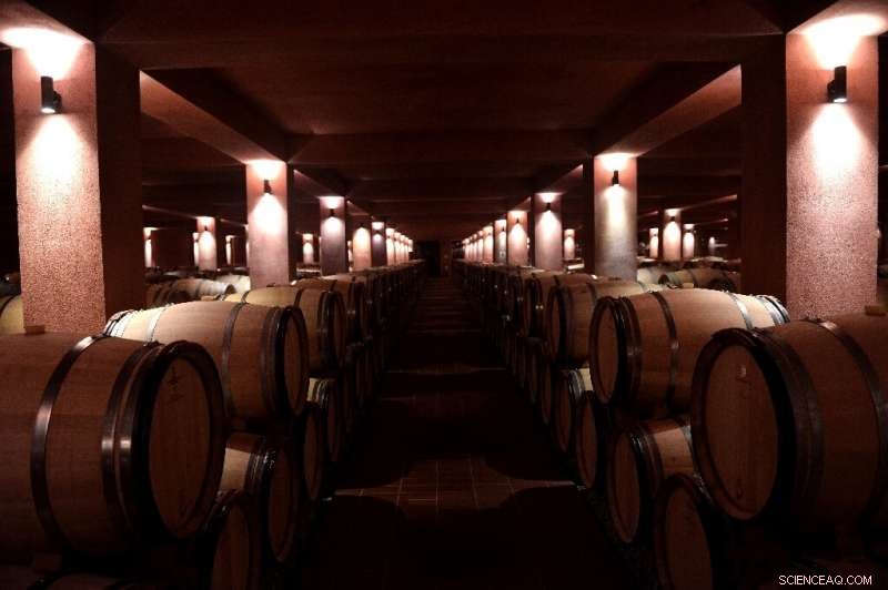 Greek Vineyards Turn to Traditional Methods to Combat Climate Change