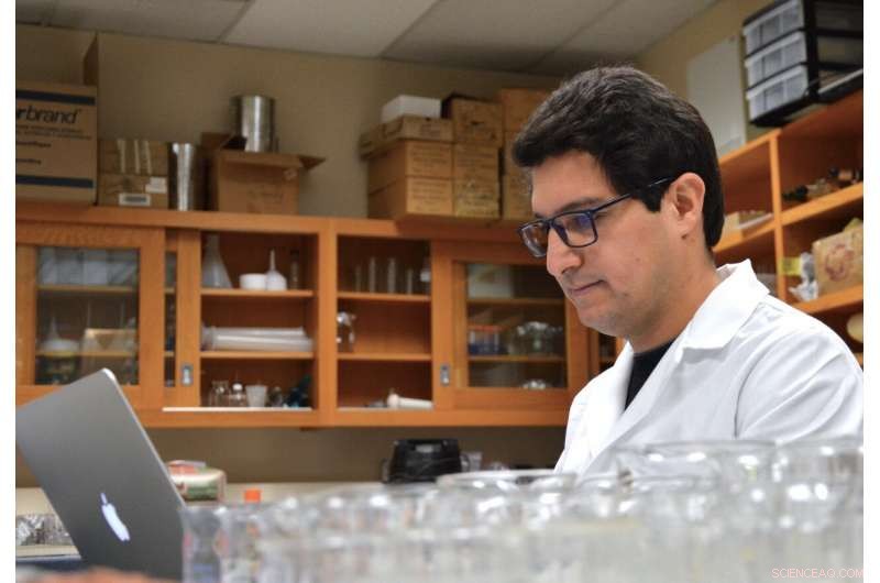 Scientists Reveal How 300-Million-Year-Old Atmospheric Dust Shaped Marine Life