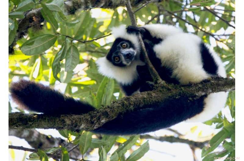 Beyond Climate Change: Habitat Loss, Pollution, and Other Threats Endanger Vulnerable Species